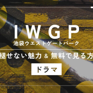 ドラマ】IWGP (池袋ウエストゲートパーク)の色褪せない魅力と全話無料